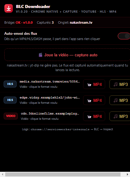 Popup de l'extension Chrome BLC Downloader